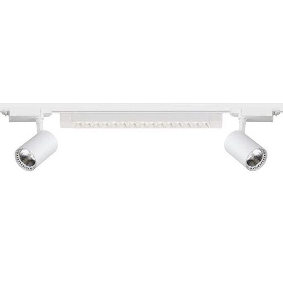 Güçlü Odaklı Ray Spot Seti (2 Adet 30W Spot + 30W Mercekli Lineer) Beyaz