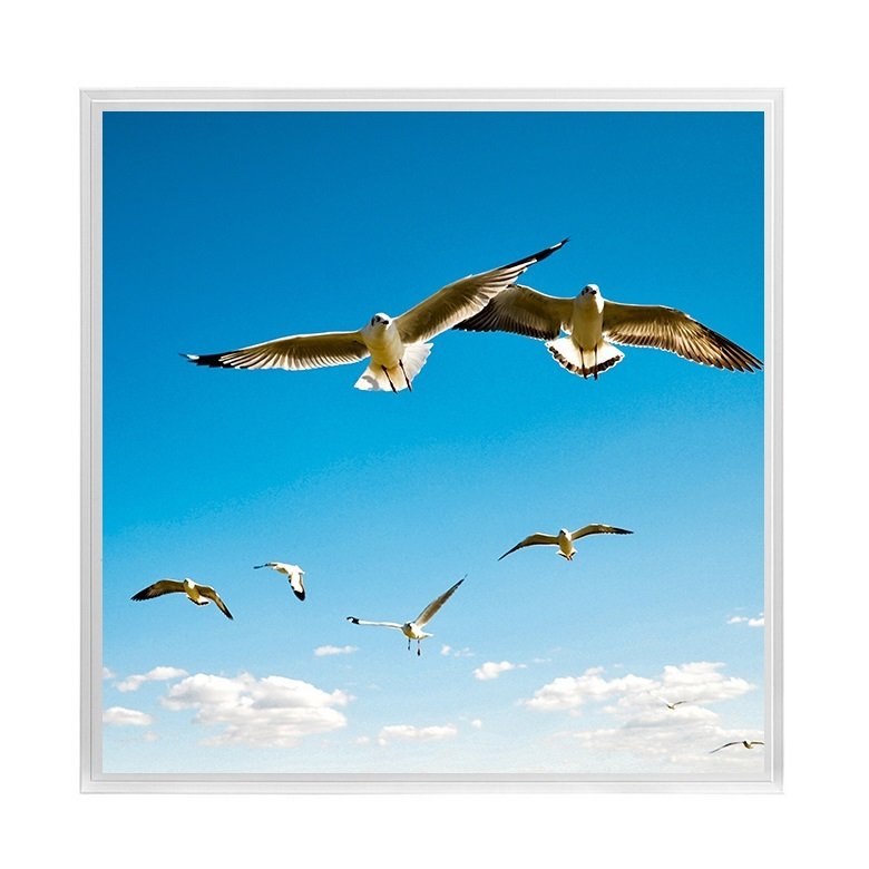 Lamptime 60X60 Cm Resimli Led Panel 40W - Martılar