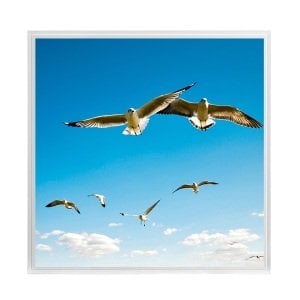 Lamptime 60X60 Cm Resimli Led Panel 40W - Martılar