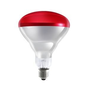 Ledvance Infrared Ampul E27 250W Kırmızı