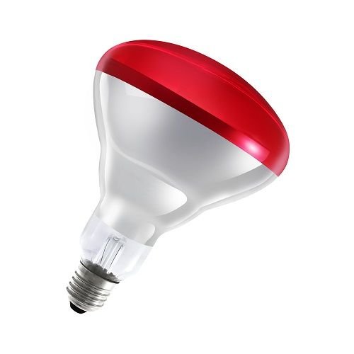 Ledvance Infrared Ampul E27 250W Kırmızı
