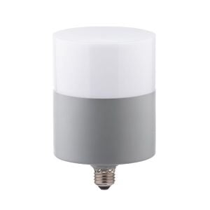 Ampul Led Zmr Oval Dekoratif Torch E27 30W 6500K Beyaz Zmr-115/G.65