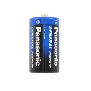 Panasonic C Orta Boy Pil