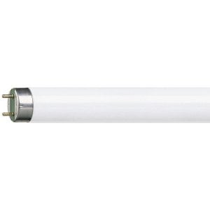 Ampul Floresan Sinek Sylvanıa 18W